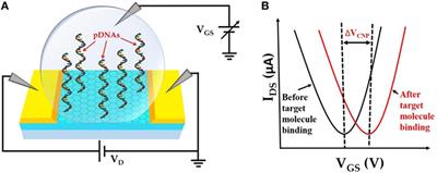 Selective Detection of Lysozyme Biomarker Utilizing Large Area Chemical Vapor Deposition-Grown Graphene-Based Field-Effect Transistor